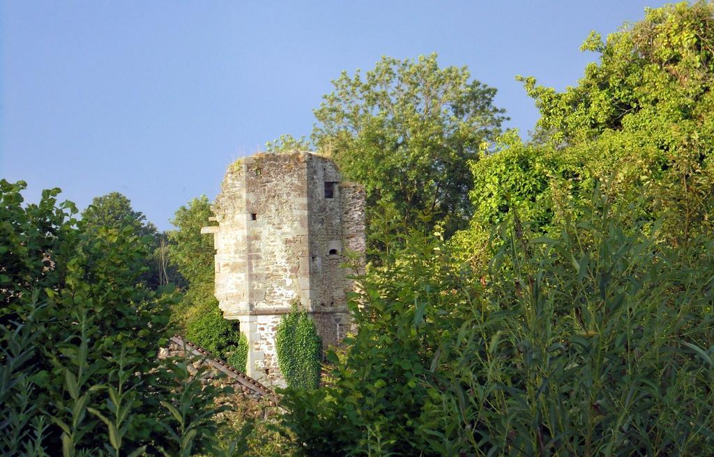 Bed and Breakfast Chateau De La Chasse-Guerre Hardanges Экстерьер фото